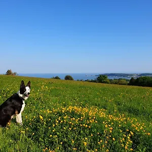 Farm stay Clyne Farm Centre, The Mumbles
